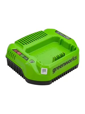 Зарядное устройство GREENWORKS, 60V