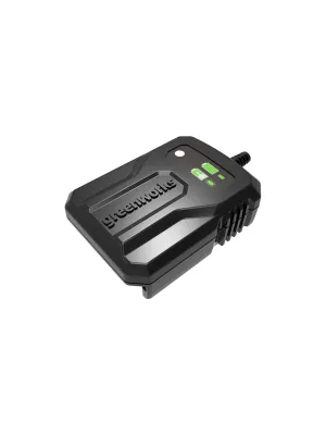 Зарядное устройство GREENWORKS GW 40В 2A