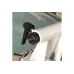 Станок токарный по дереву PROMA DSL-450/250
