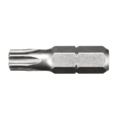 Биты FIT WP сталь S2 Профи Torx 25мм Т25 (20) (57557i)