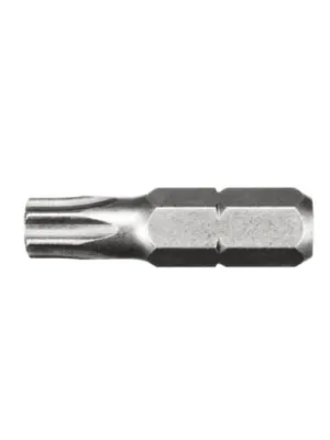 Биты FIT WP сталь S2 Профи Torx 25мм Т25 (20) (57557i)