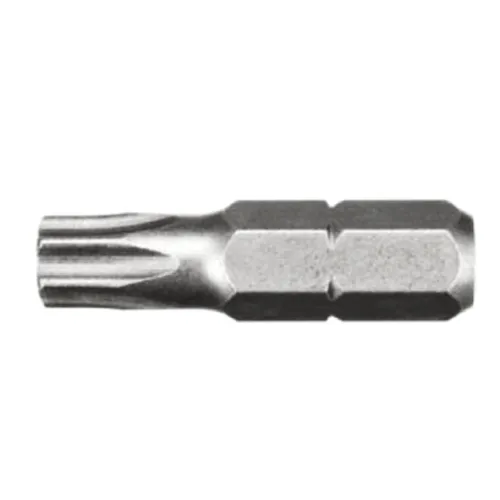 Биты FIT WP сталь S2 Профи Torx 25мм Т25 (20) (57557i)