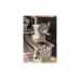 Станок токарный STALEX D320x880G Vario, зона обработки 320х880 мм, 230В