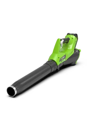 Воздуходувка аккумуляторная GREENWORKS G40AB (с АКБ и ЗУ)