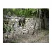 Шланг KARCHER Perfomance Plus, 1/2