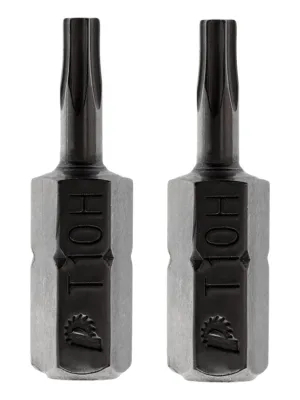 Бита ПРАКТИКА Torx Tamper-10 25мм 2шт блистер серия Профи