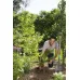 Лопата садовая NatureLin GARDENA (17000-20.000.00) (уп.4)
