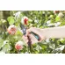 Секатор B/M GARDENA (08904-20.000.00) (уп.5)